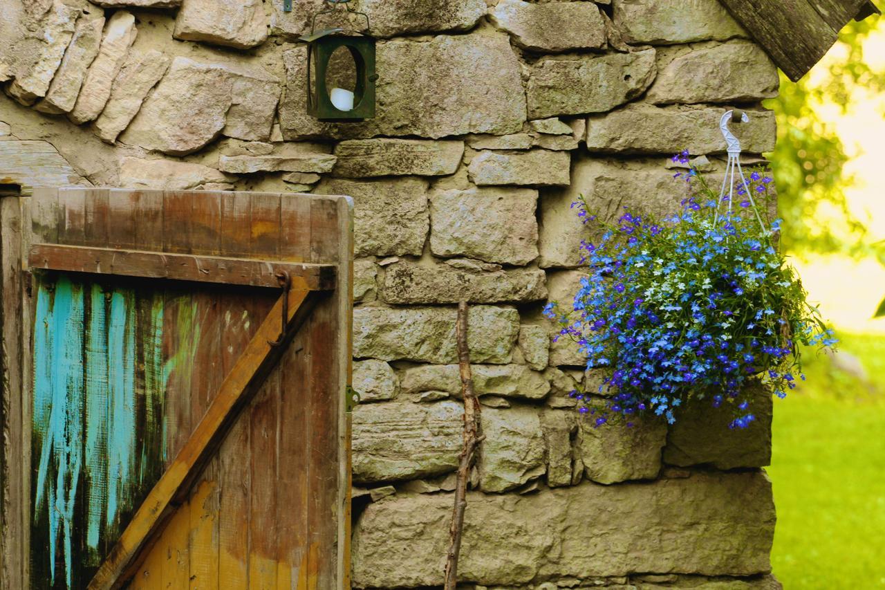 Metsara B&B Tornimae Bagian luar foto