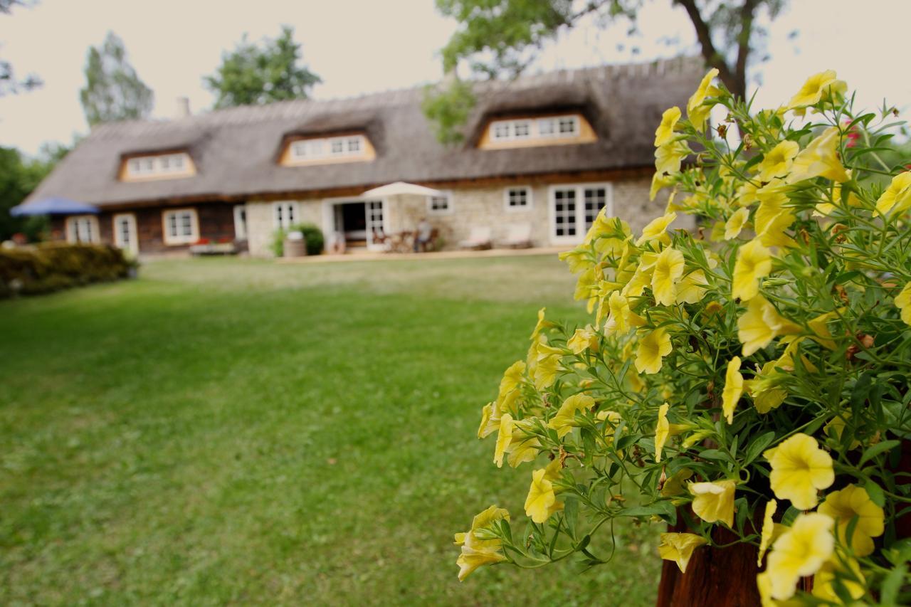Metsara B&B Tornimae Bagian luar foto