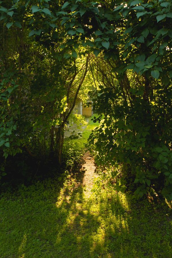 Metsara B&B Tornimae Bagian luar foto